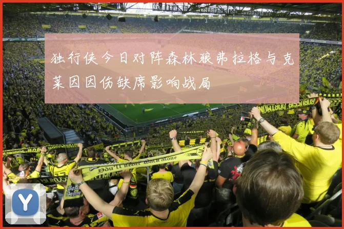 独行侠今日对阵森林狼弗拉格与克莱因因伤缺席影响战局