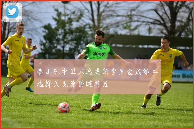 泰山队中卫人选更新索罗金成第二选择贝克曼紧随其后